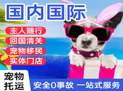 深圳宝安航空邮寄国际宠物托运 【国